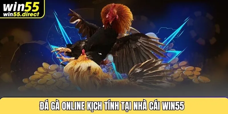 Đá gà online kịch tính tại nhà cái Win55